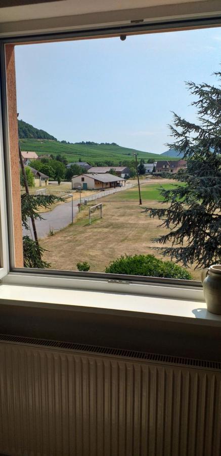 Gite Dans Vignoble Alsacien Westhalten Buitenkant foto