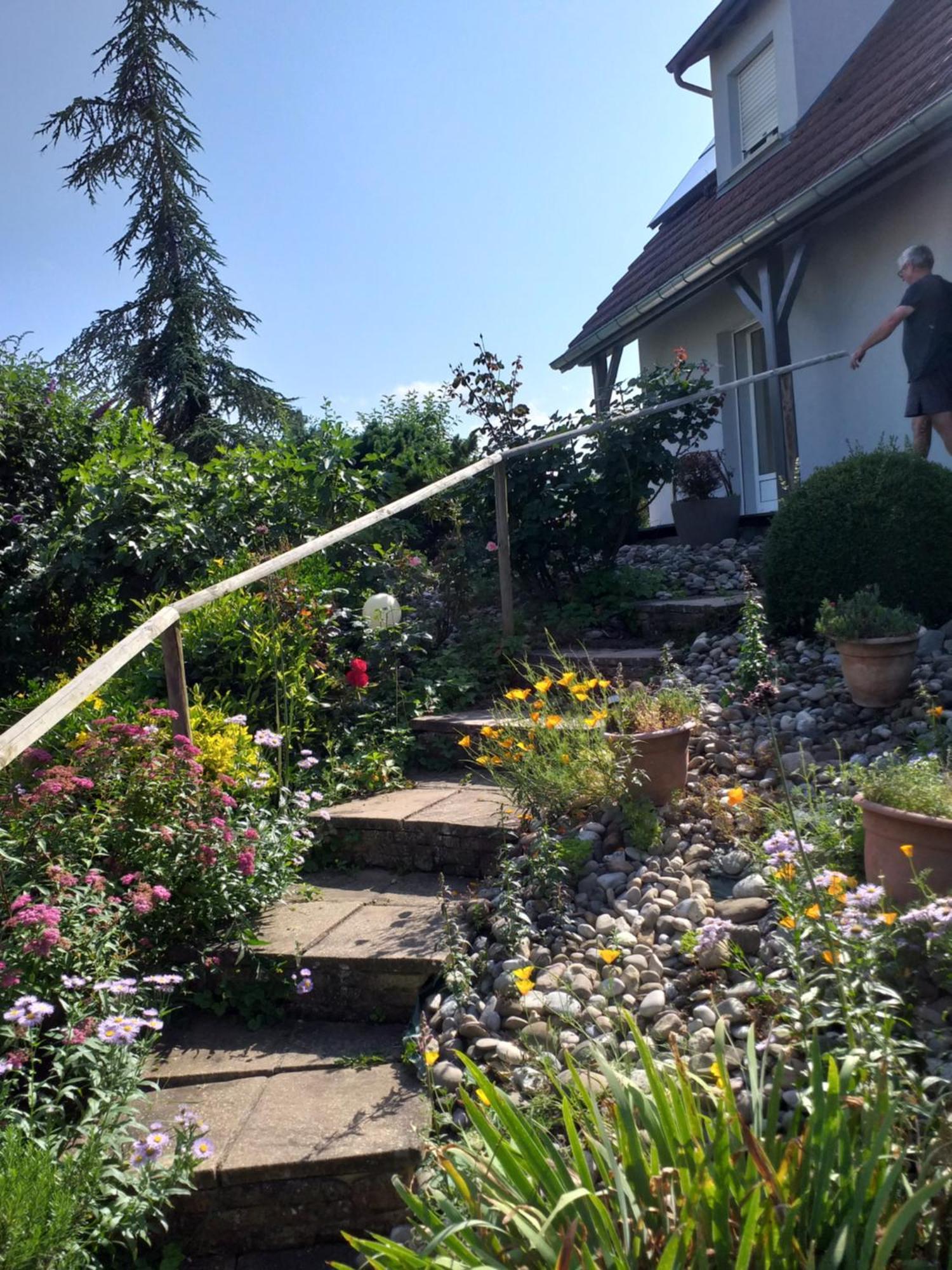 Gite Dans Vignoble Alsacien Westhalten Buitenkant foto
